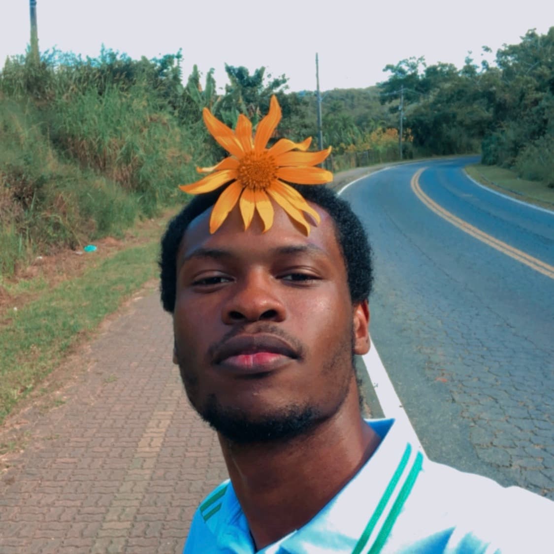 Picture of the author